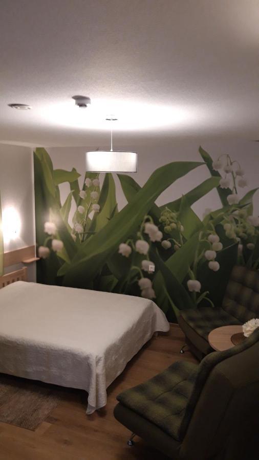 Viesu Nams Zala Sala Hotel Litavniki Luaran gambar