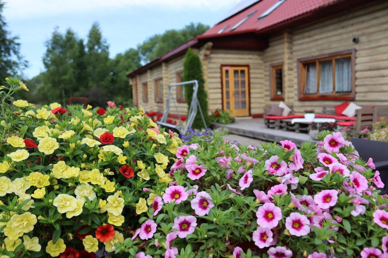 Viesu Nams Zala Sala Hotel Litavniki Luaran gambar